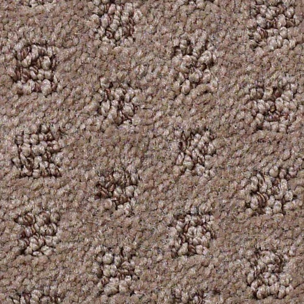 Anderson Tuftex Narrow Creek Carpet in Pebble Creek