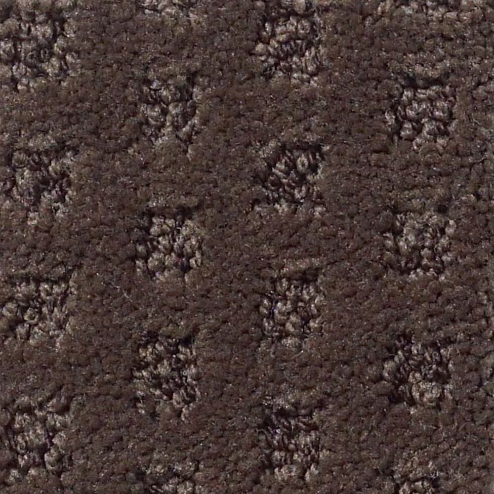 Anderson Tuftex Narrow Creek Carpet in Bison