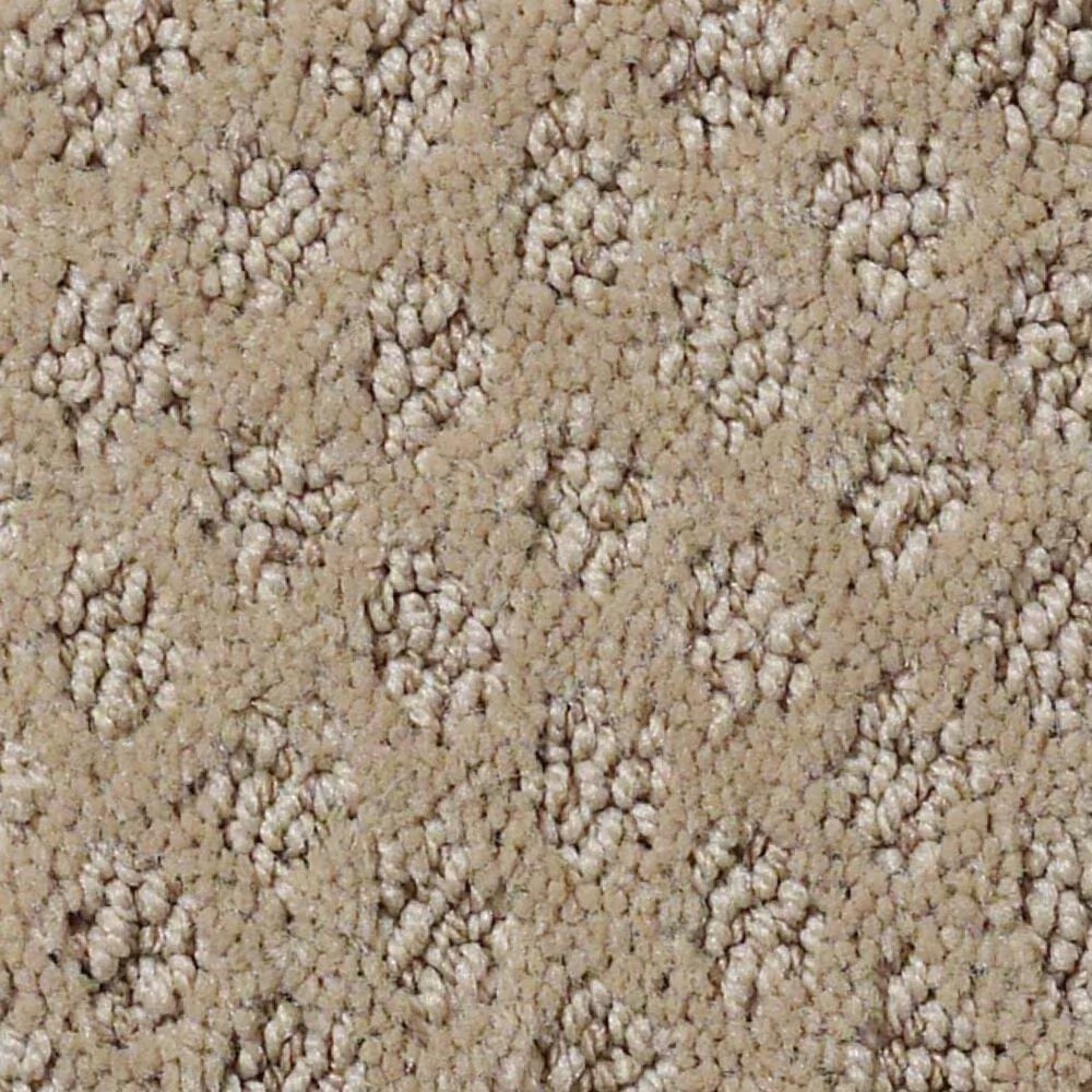 Anderson Tuftex Narrow Creek Carpet in Carnoustie