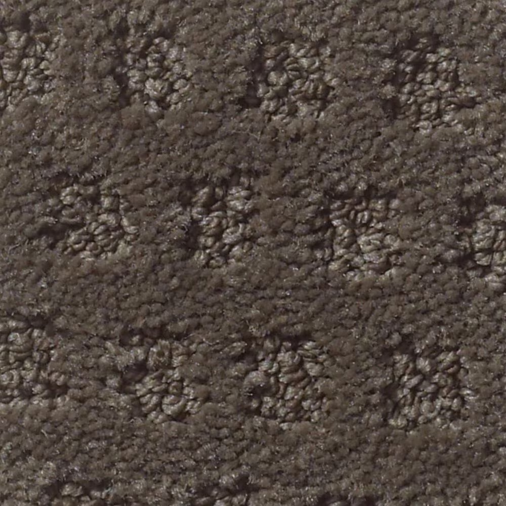 Anderson Tuftex Narrow Creek Carpet in Glacier Park