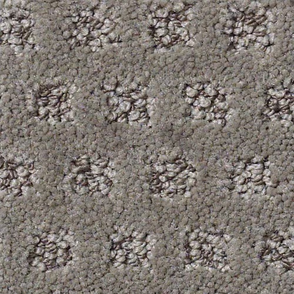 Anderson Tuftex Narrow Creek Carpet in Essex