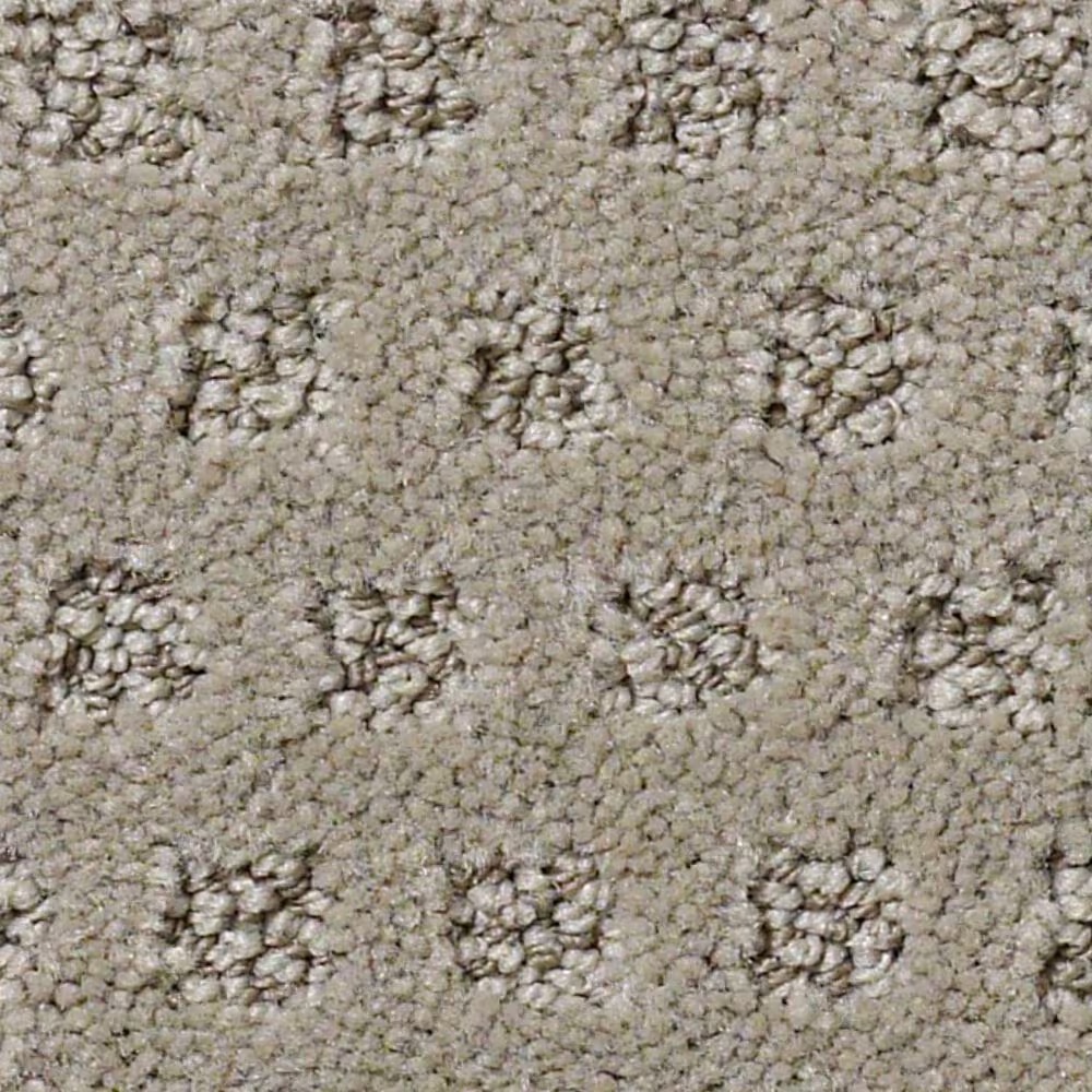 Anderson Tuftex Narrow Creek Carpet in Missoula
