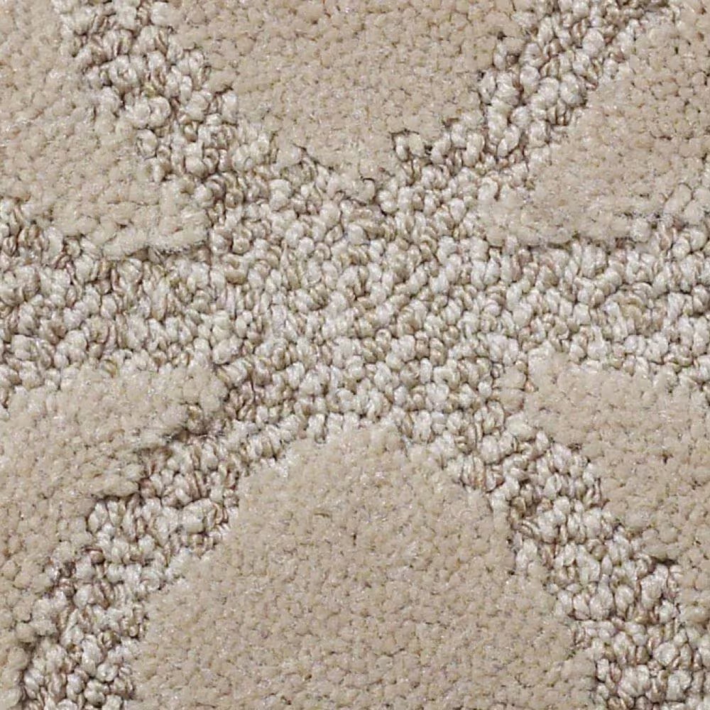 Anderson Tuftex Green CreekNA148 Carpet in Llama