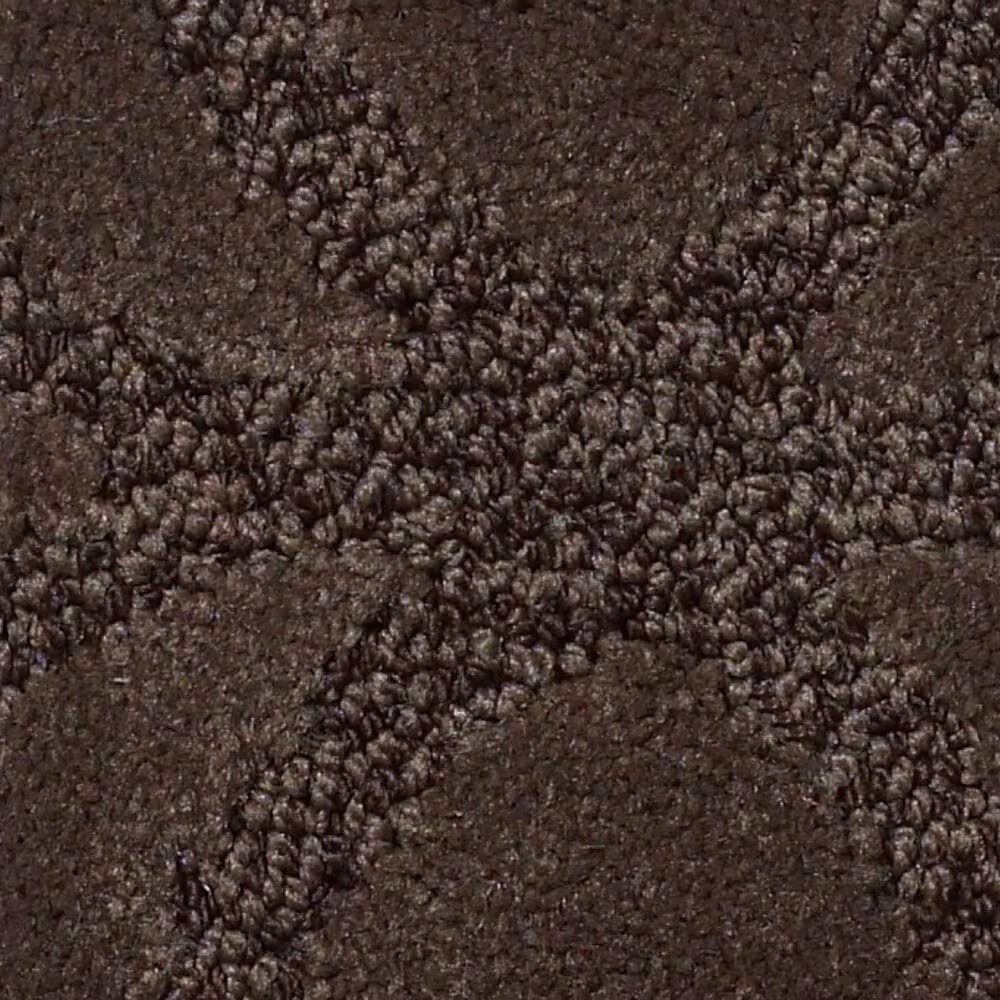 Anderson Tuftex Green Creek Carpet in Bison