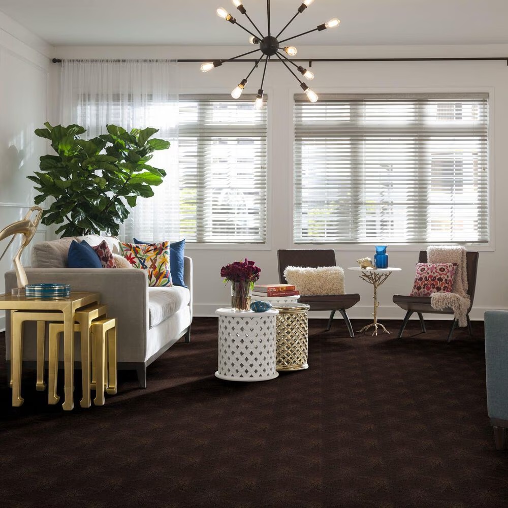 55014-anderson-tuftex-green-creek-carpet-in-bison-1.jpg