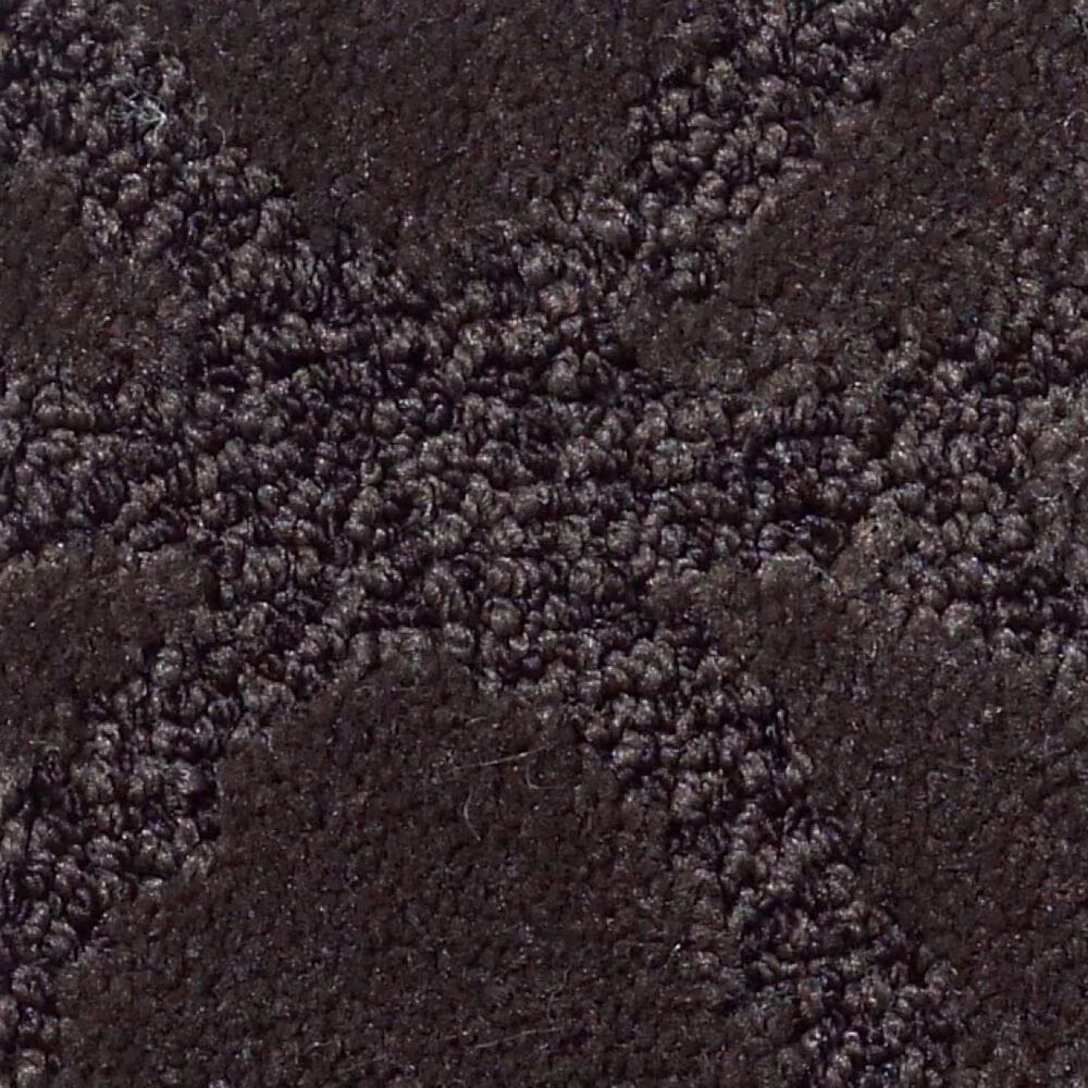 Anderson Tuftex Green Creek NA148 Carpet in Browning