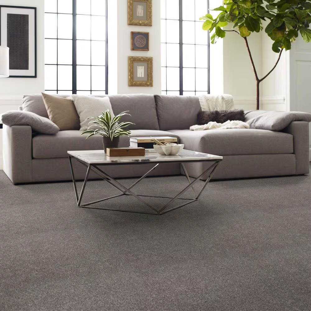 55069-shaw-calm-simplicity-i-carpet-in-washed-linen-1.jpg