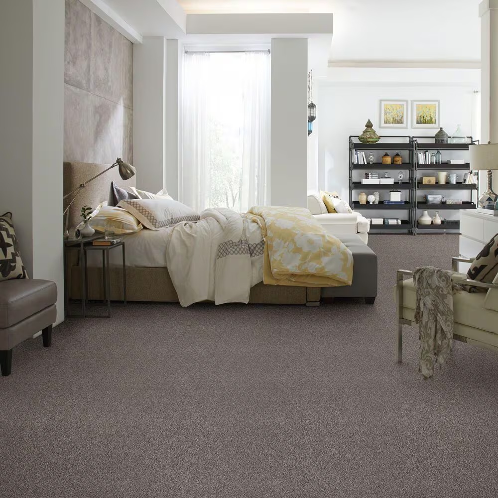 55071-shaw-bellera-calm-simplicity-i-carpet-in-shoreline-1.jpg