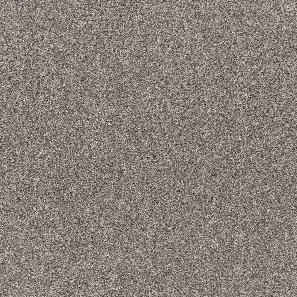 Shaw Calm Simplicity I Carpet in Kidskin