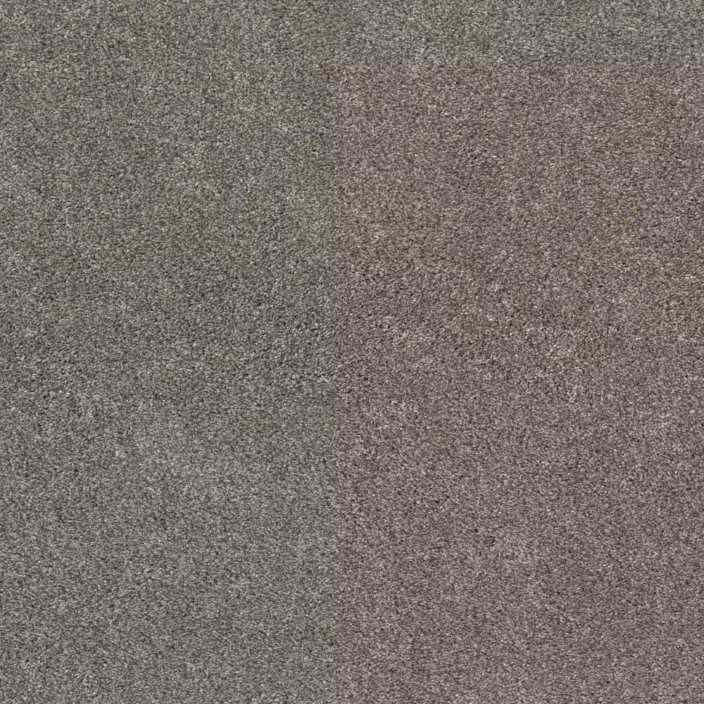 Shaw Calm Simplicity I Carpet in Desert View