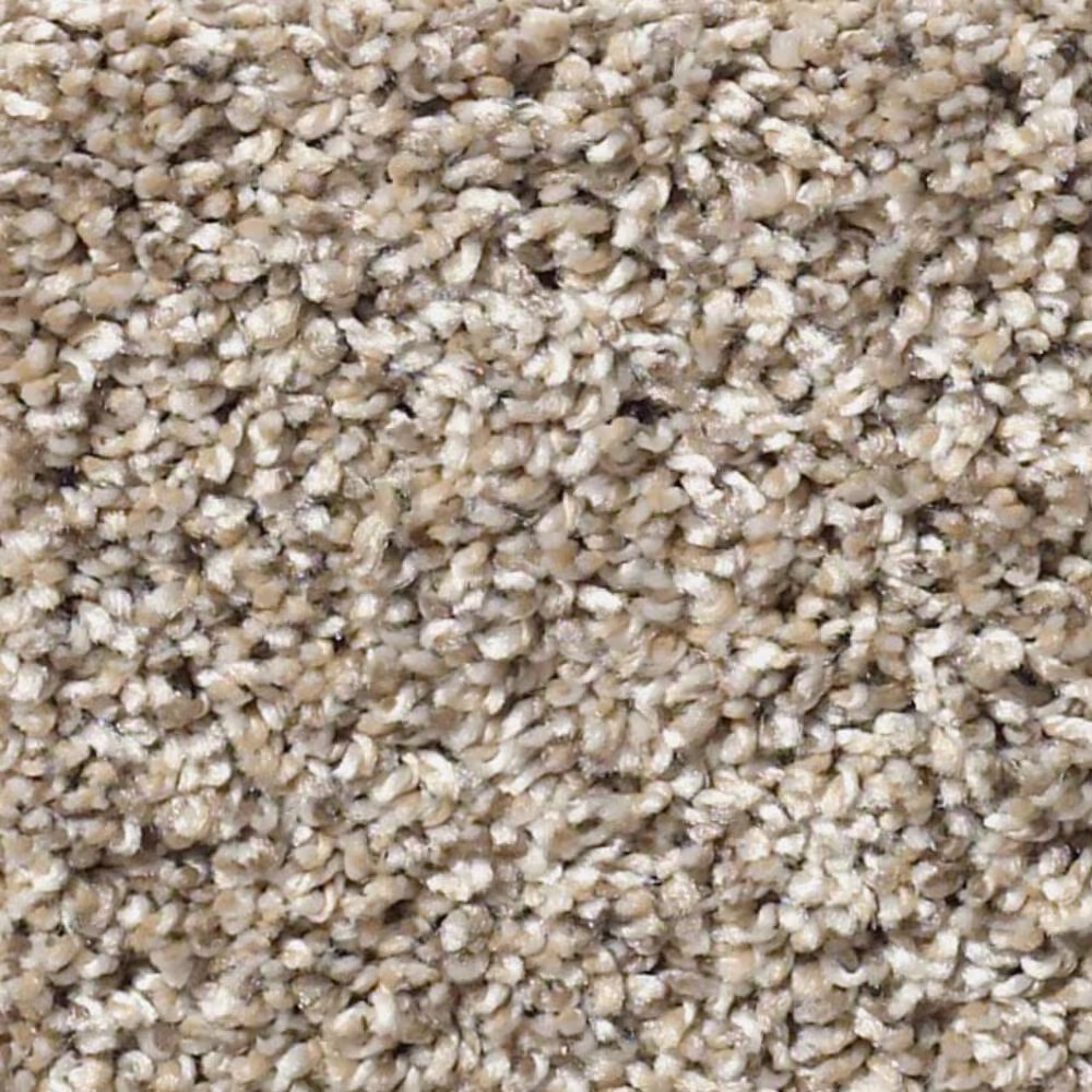 Shaw Simply the Best After It I Carpet in Neutral Ground