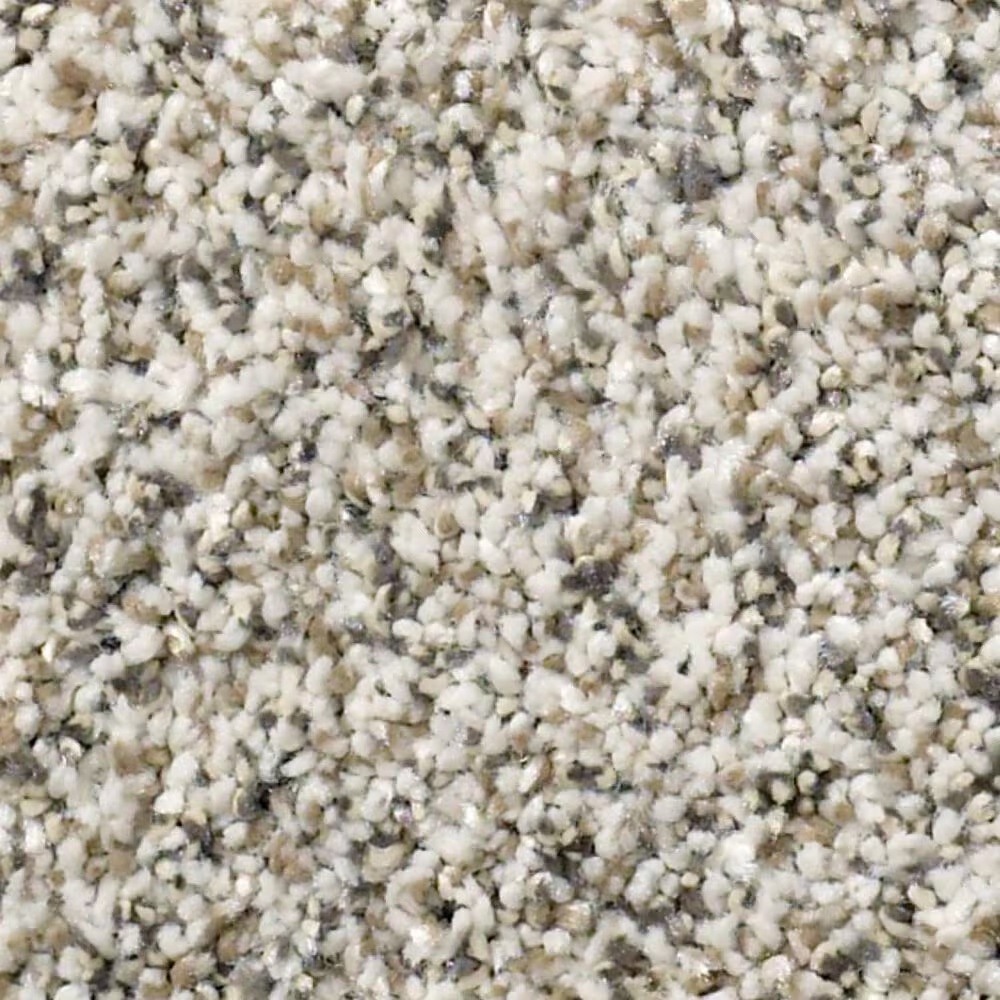 Shaw Simply the Best All Set I Carpet in Smoky Gray