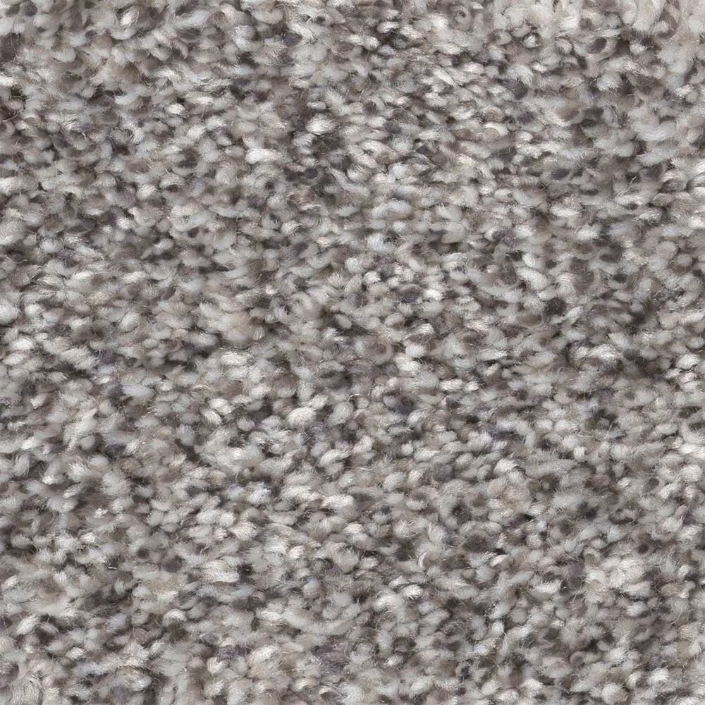 Shaw Within Reach II Carpet in Serene Still