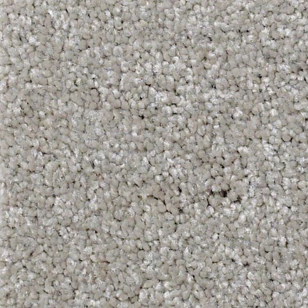 Shaw Something Sweet Carpet in Smooth Taupe