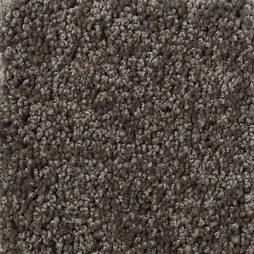 Shaw Detailed Elegance III Carpet in Chocolate