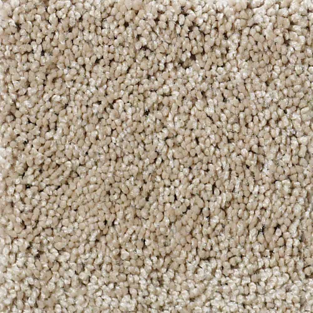Shaw Detailed Elegance II Carpet in Clay Stone