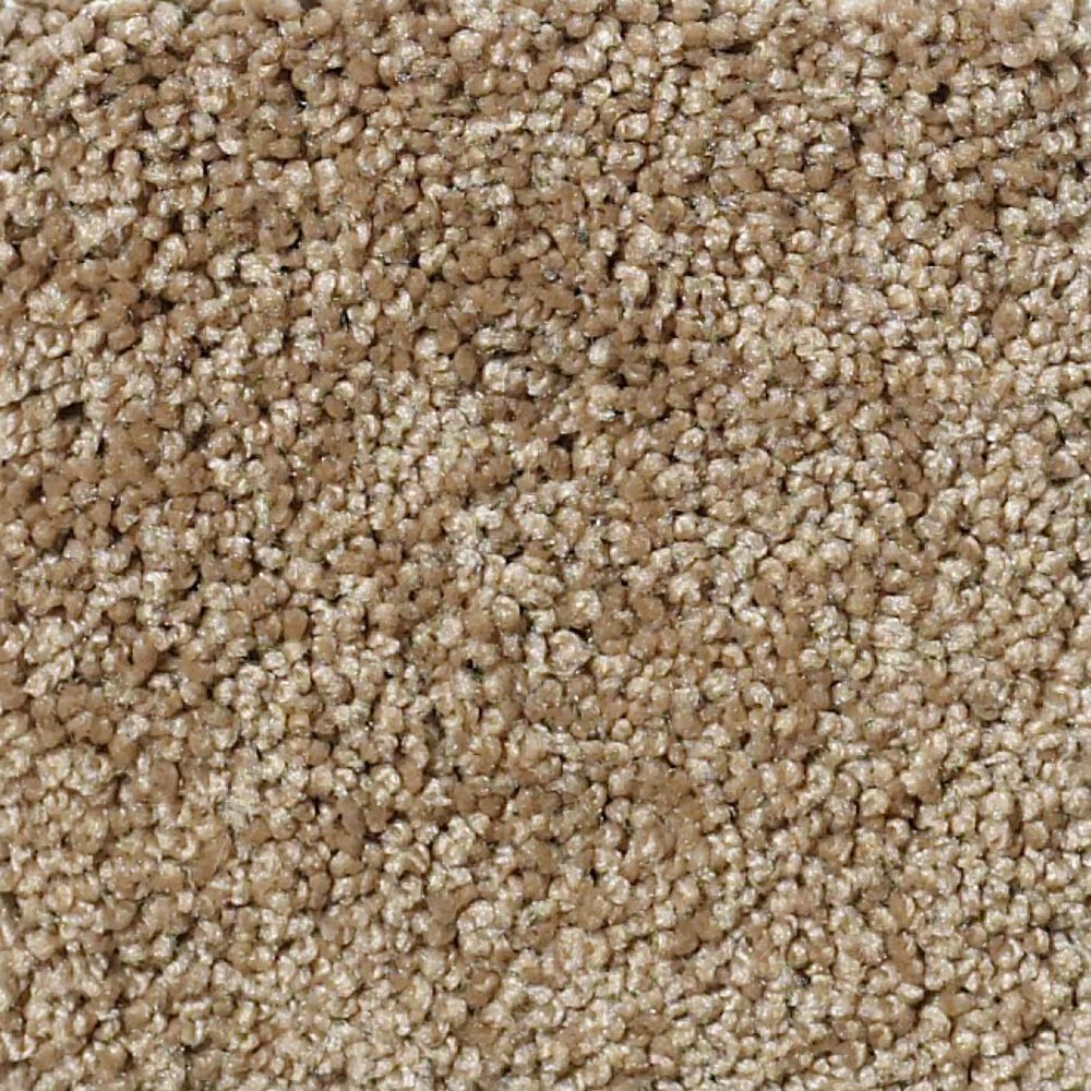 Shaw Detailed Elegance II Carpet in Twig
