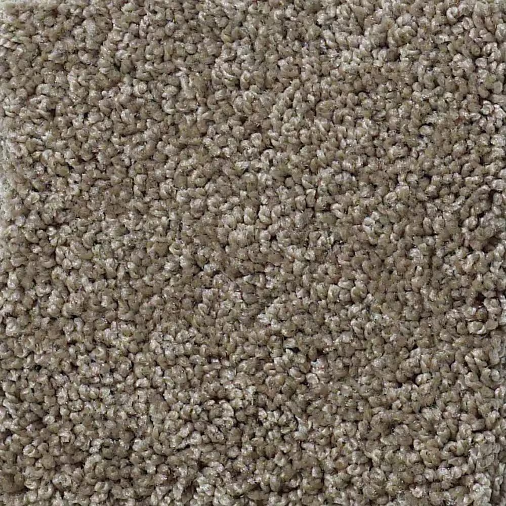 Shaw Detailed Elegance II Carpet in Flax
