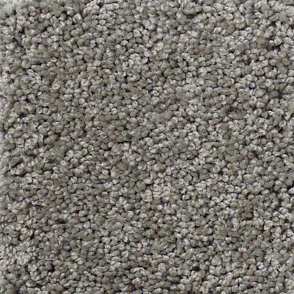 Shaw Detailed Elegance II Carpet in Fog