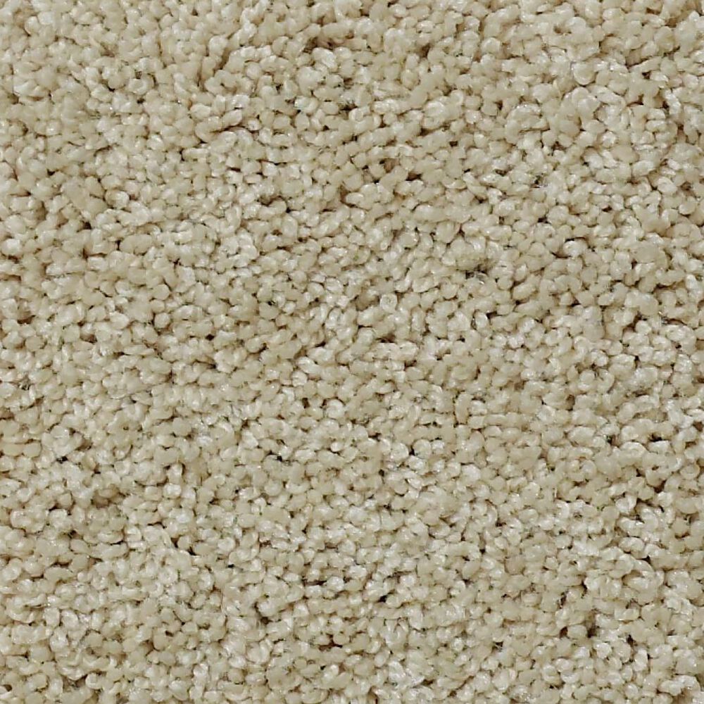 Shaw Detailed Elegance I Carpet in French Linen