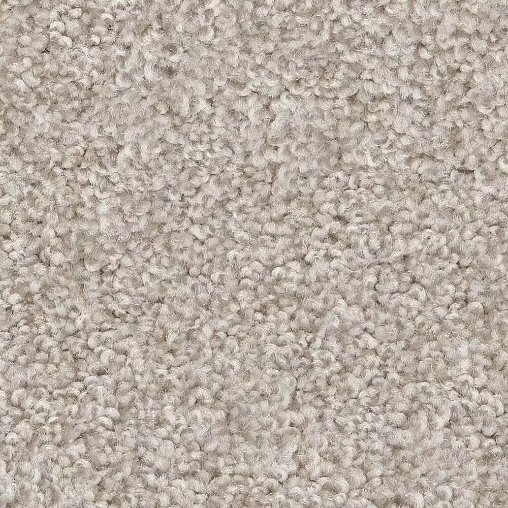 Shaw Harmonious III Carpet in Split Sediment