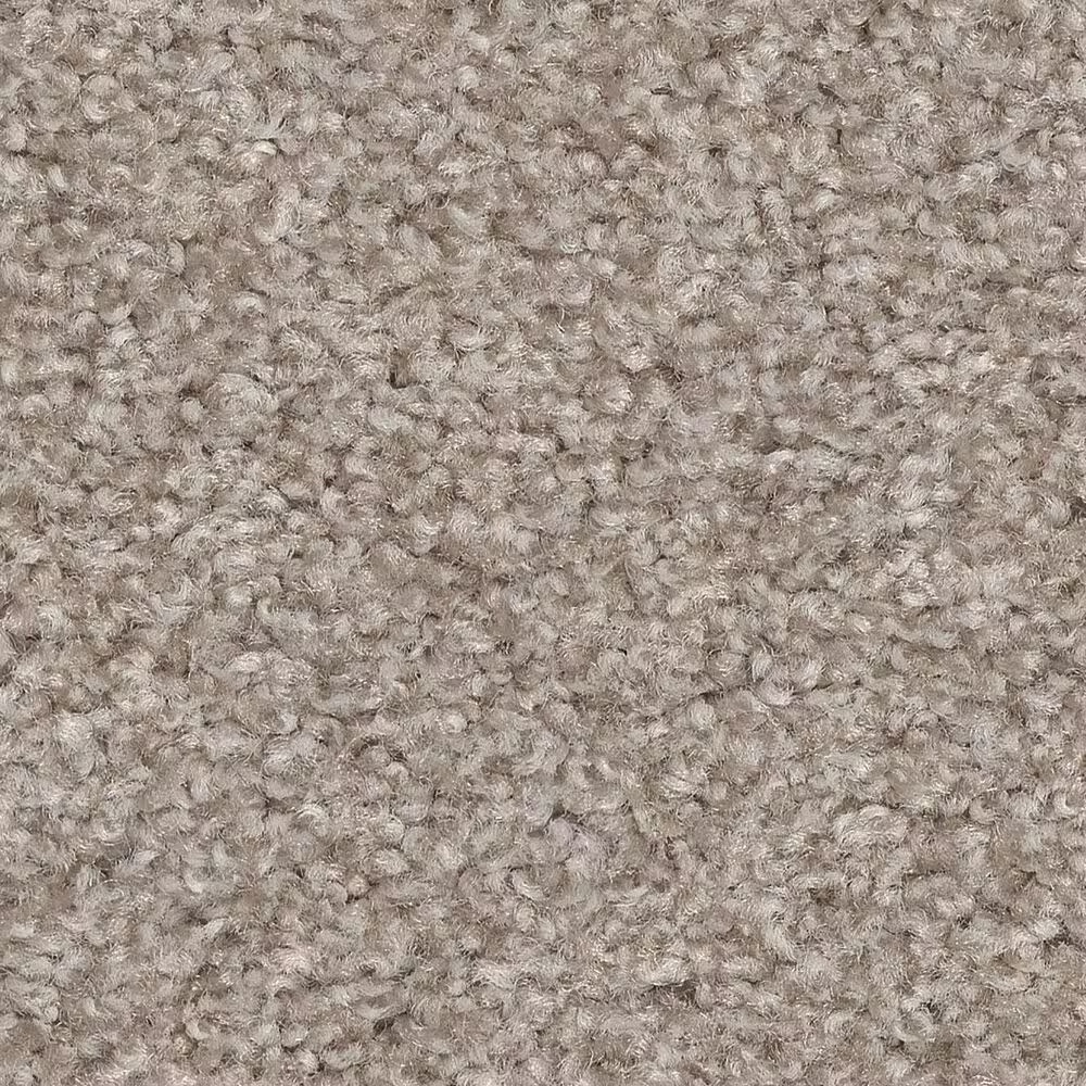 Shaw Harmonious III Carpet in Fossil Path