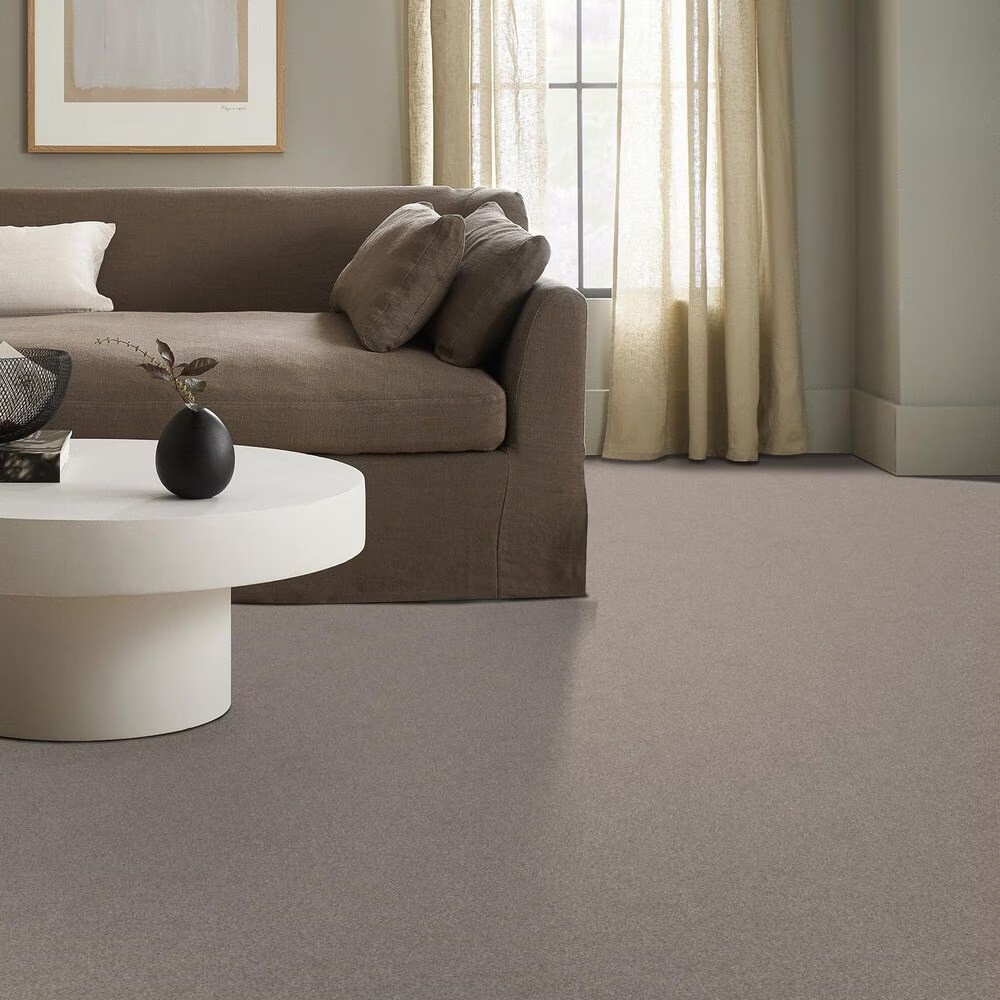 58528-shaw-harmonious-iii-carpet-in-fossil-path-1.jpg