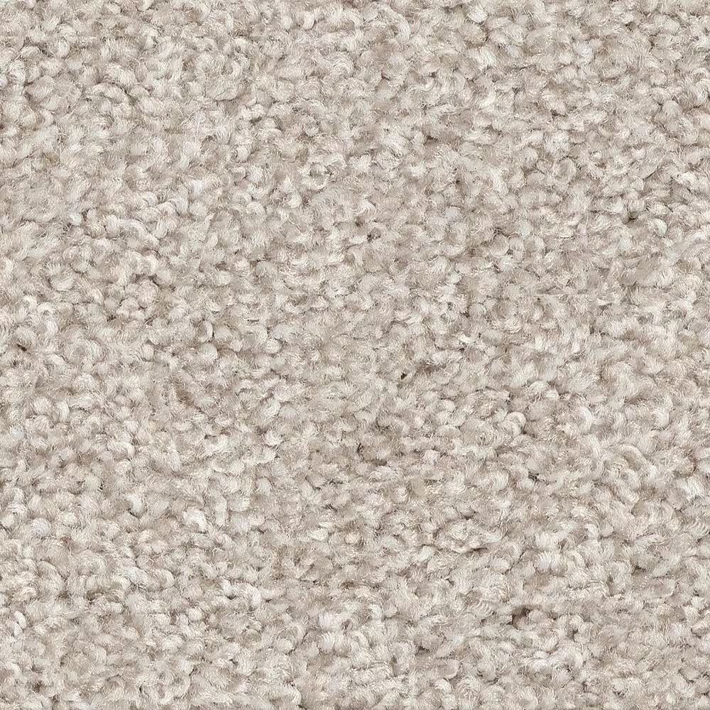 Shaw Harmonious III Carpet in Gallery Open