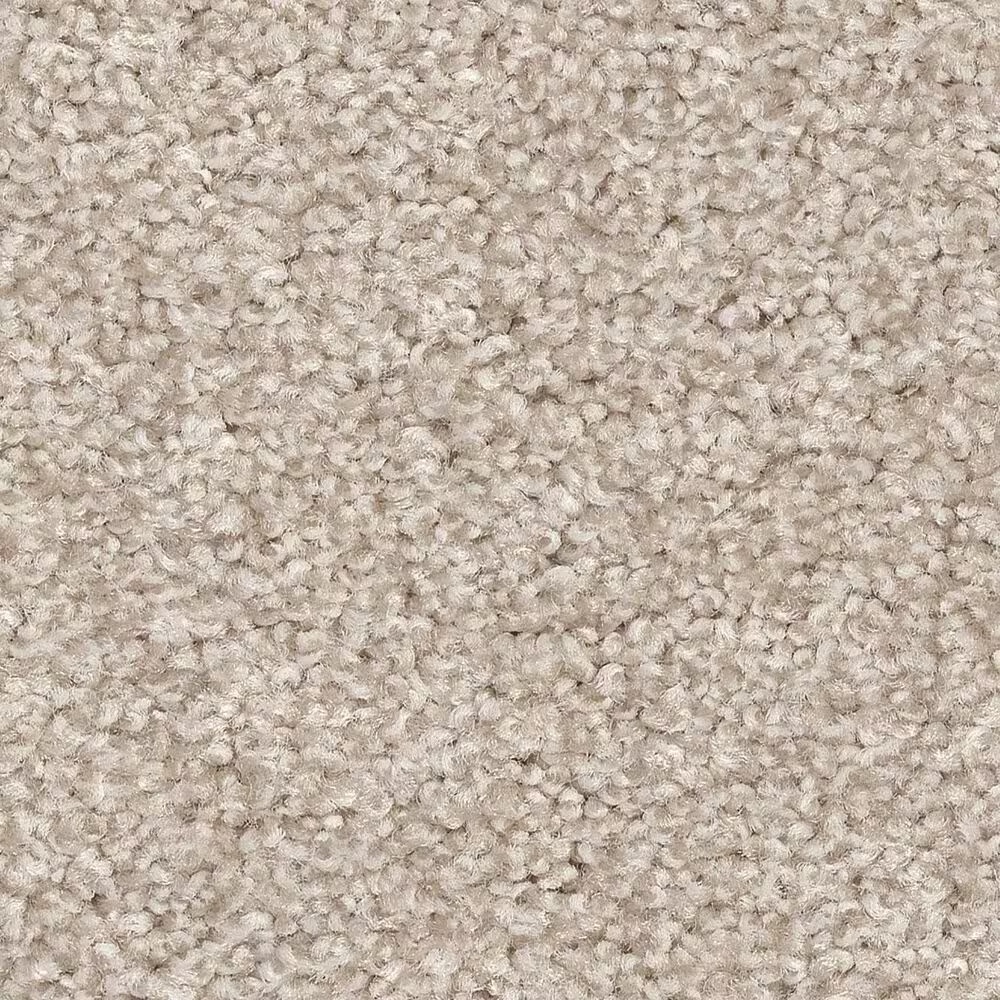 Shaw Harmonious III Carpet in Champagne Toast