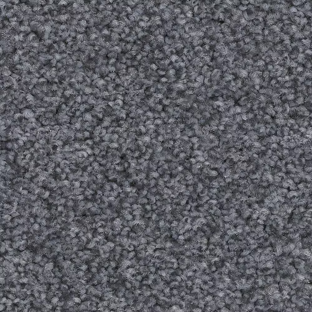 Shaw Harmonious III Carpet in Indigo Ink