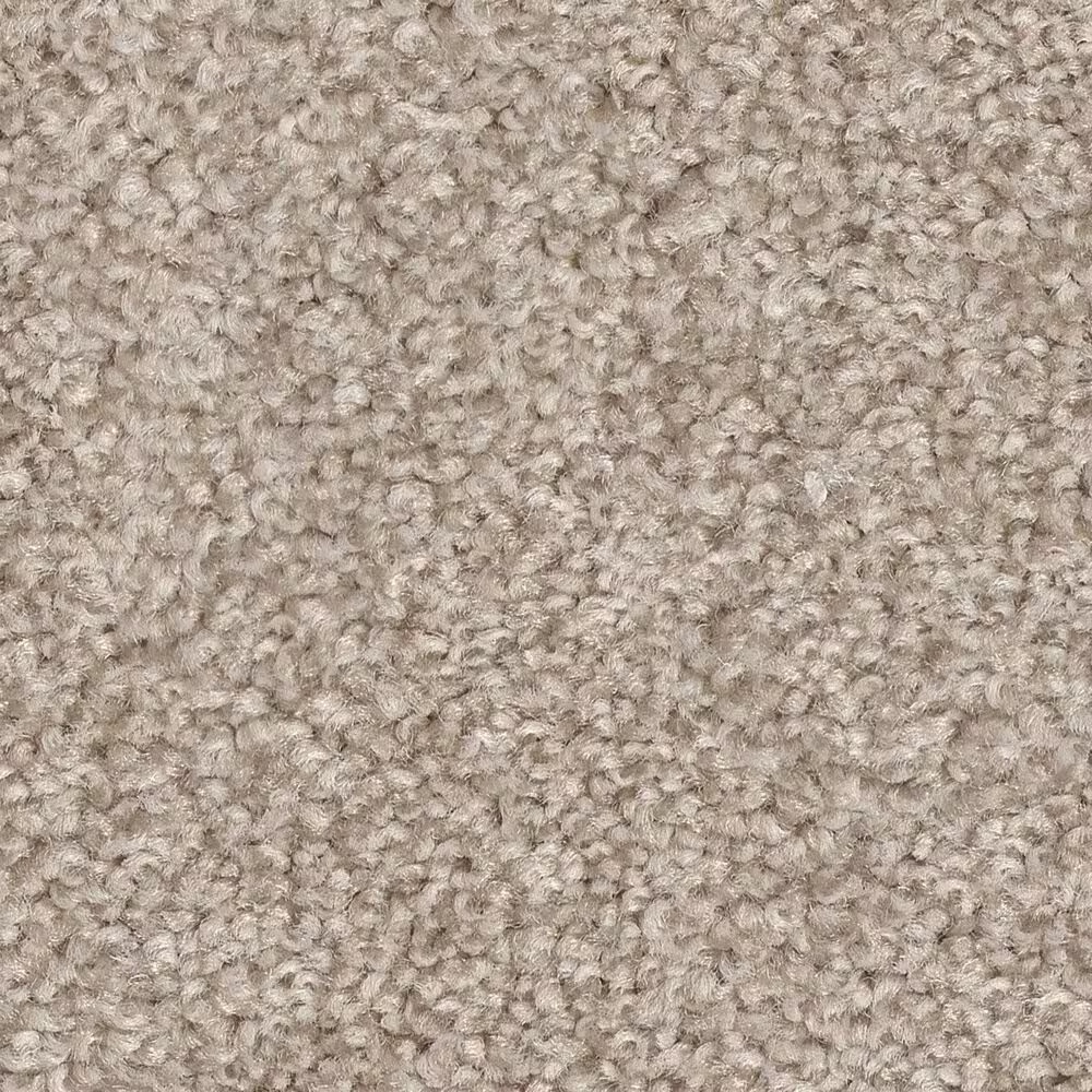 Shaw Harmonious III Carpet in Sandstone