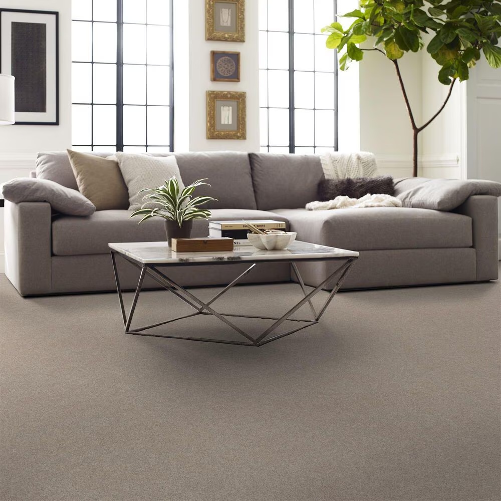 58632-shaw-harmonious-iii-carpet-in-sandstone-1.jpg