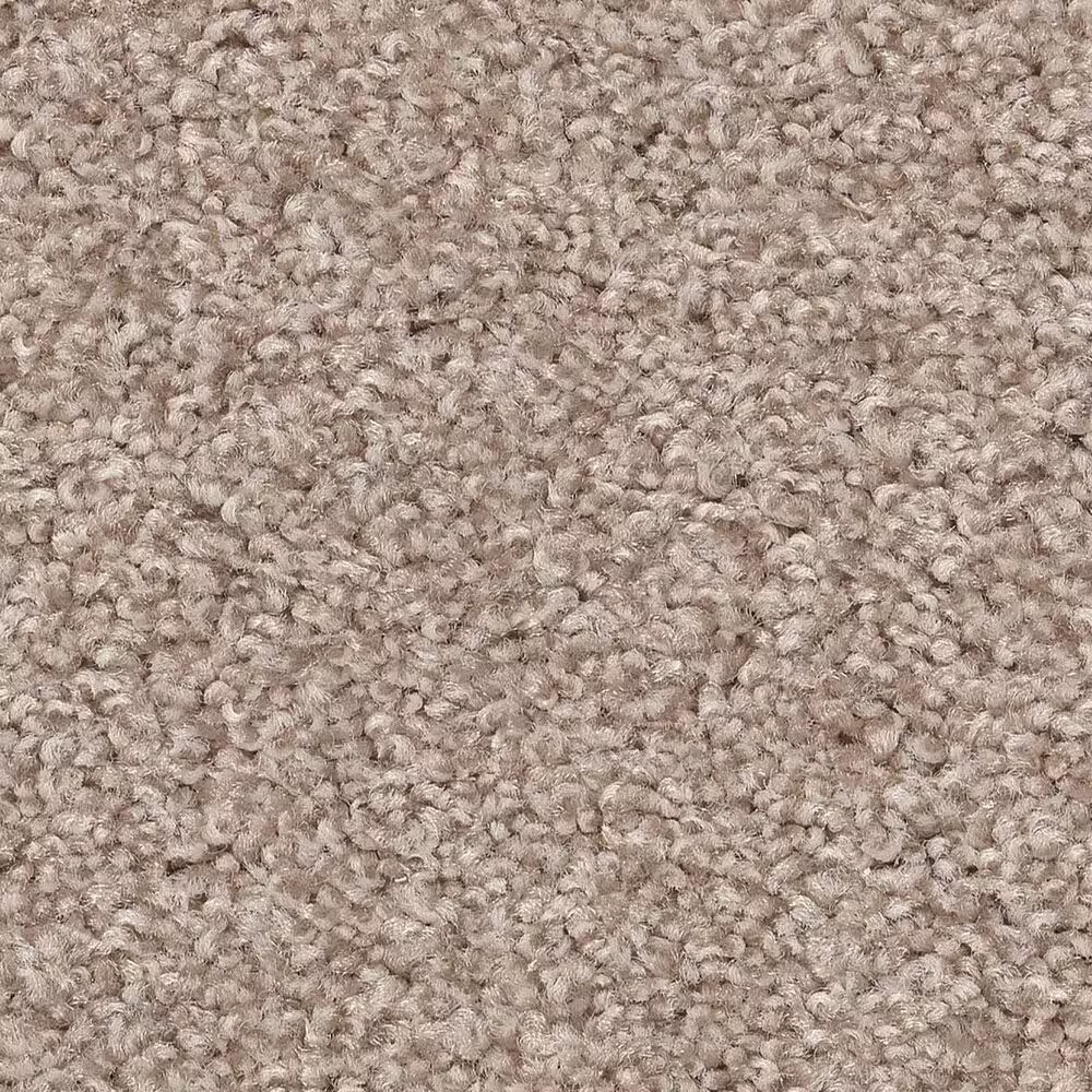 Shaw Harmonious III Carpet in Heirloom