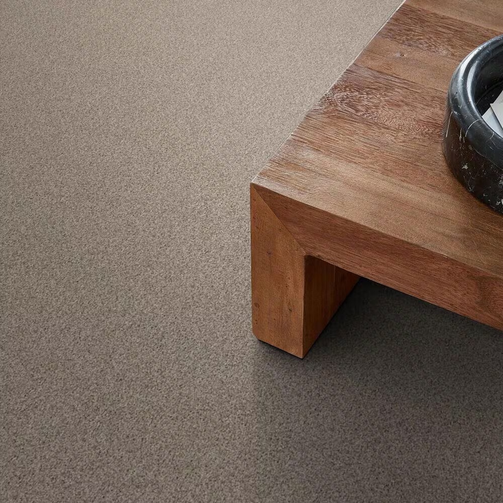 58671-anderson-tuftex-travertino-too-carpet-in-natural-1.jpg