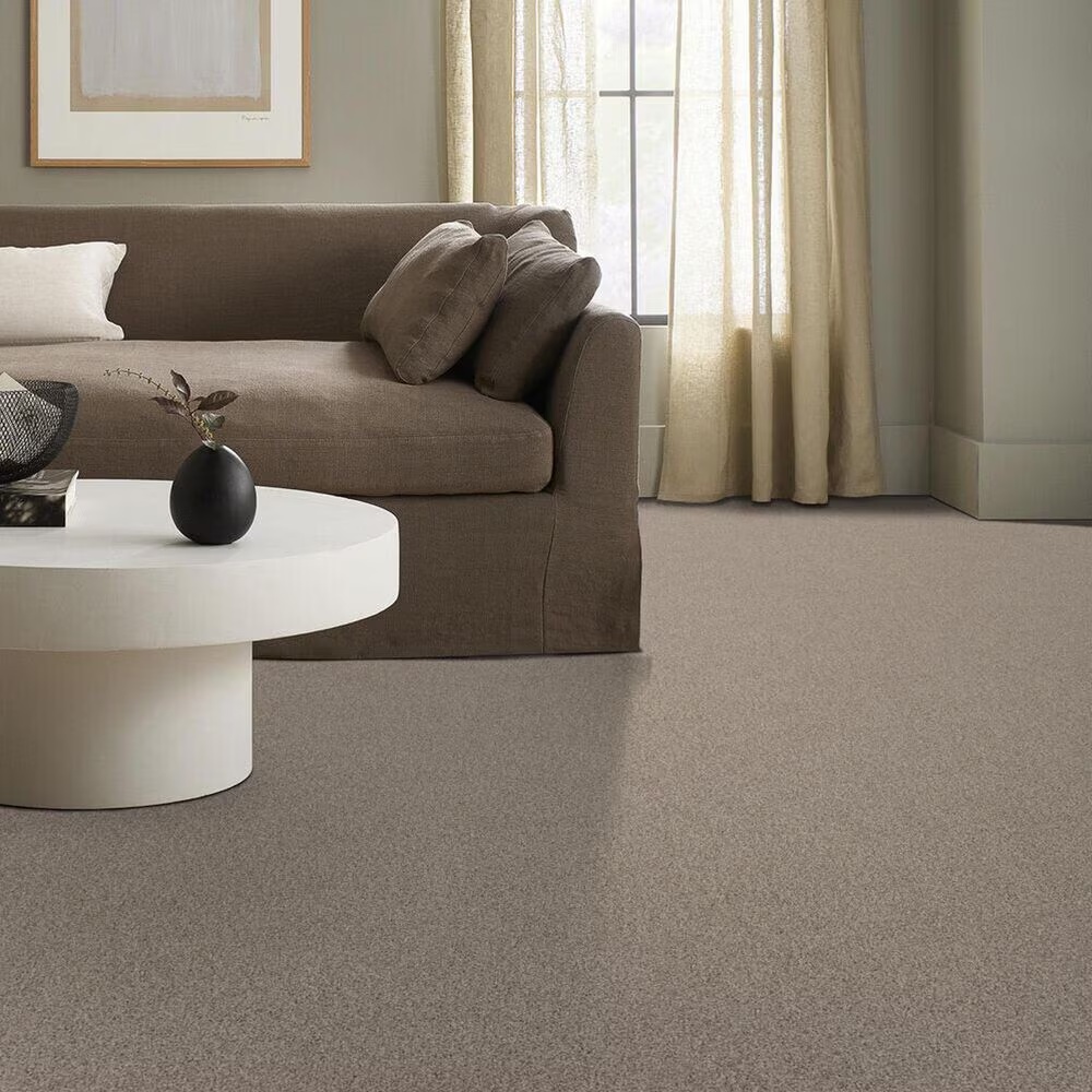 58671-anderson-tuftex-travertino-too-carpet-in-natural-1.jpg