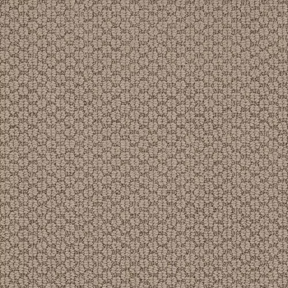 Shaw Cathedral Grove Carpet in Smoky Pearl