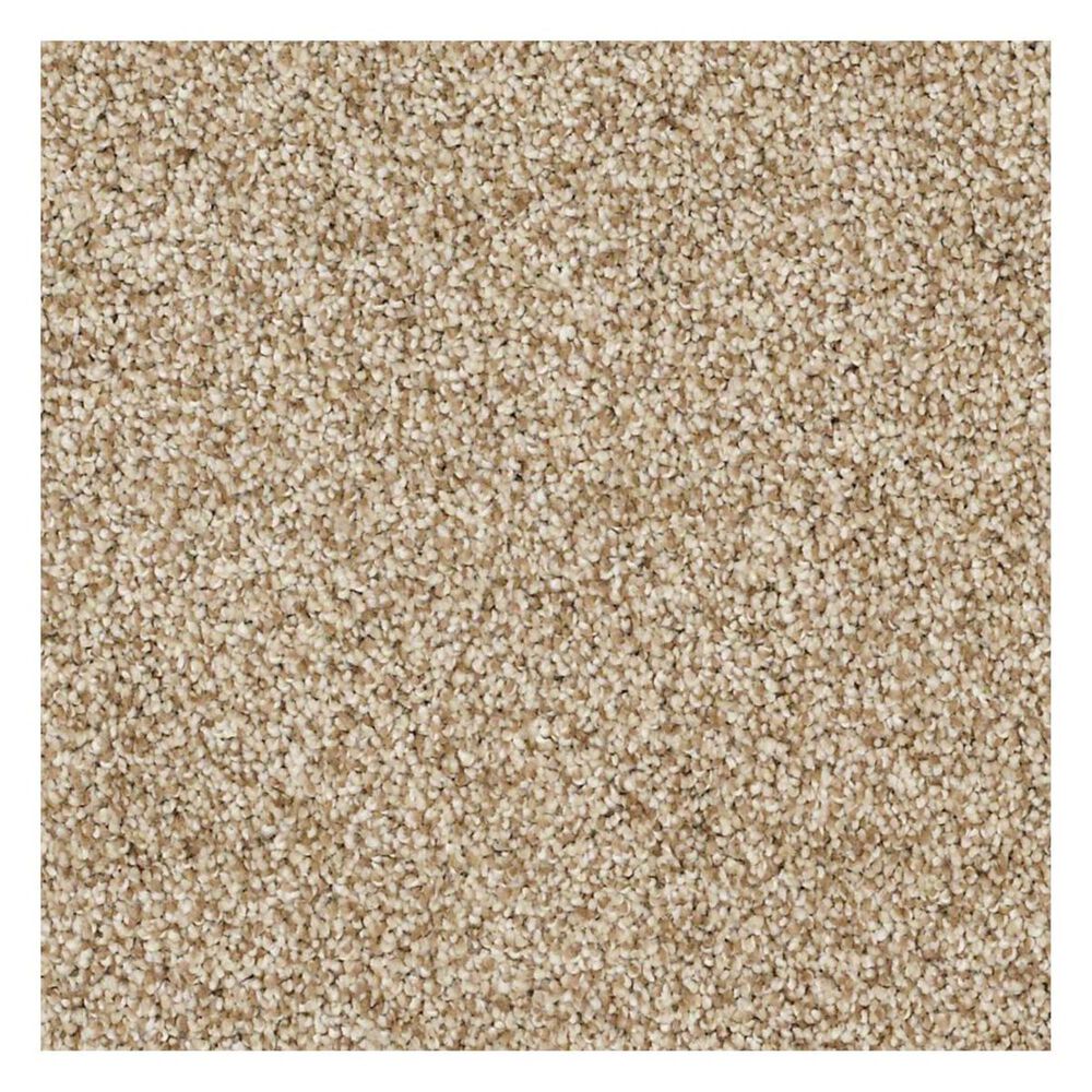 Shaw Detailed Tonal Carpet in Taffeta