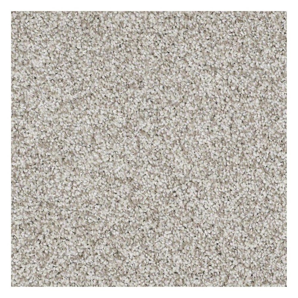 Shaw Detailed Tonal Carpet in Textured Canvas