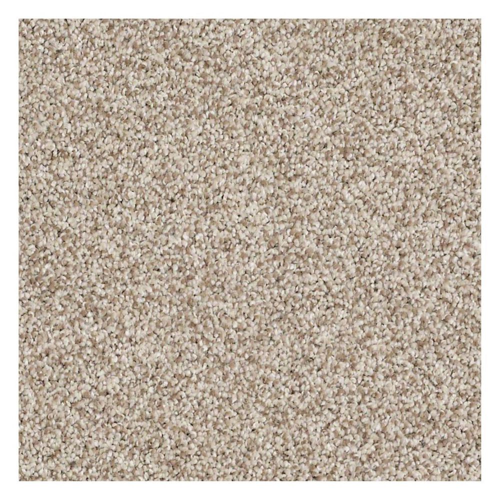 Shaw Detailed Tonal Carpet in Latte