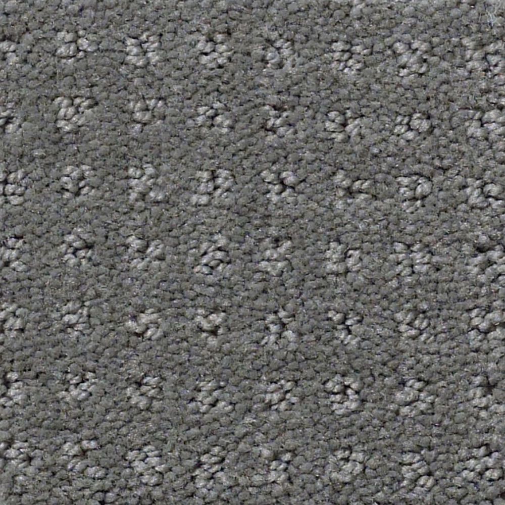 Shaw Detailed Elegance Patterned Carpet in Charcoal