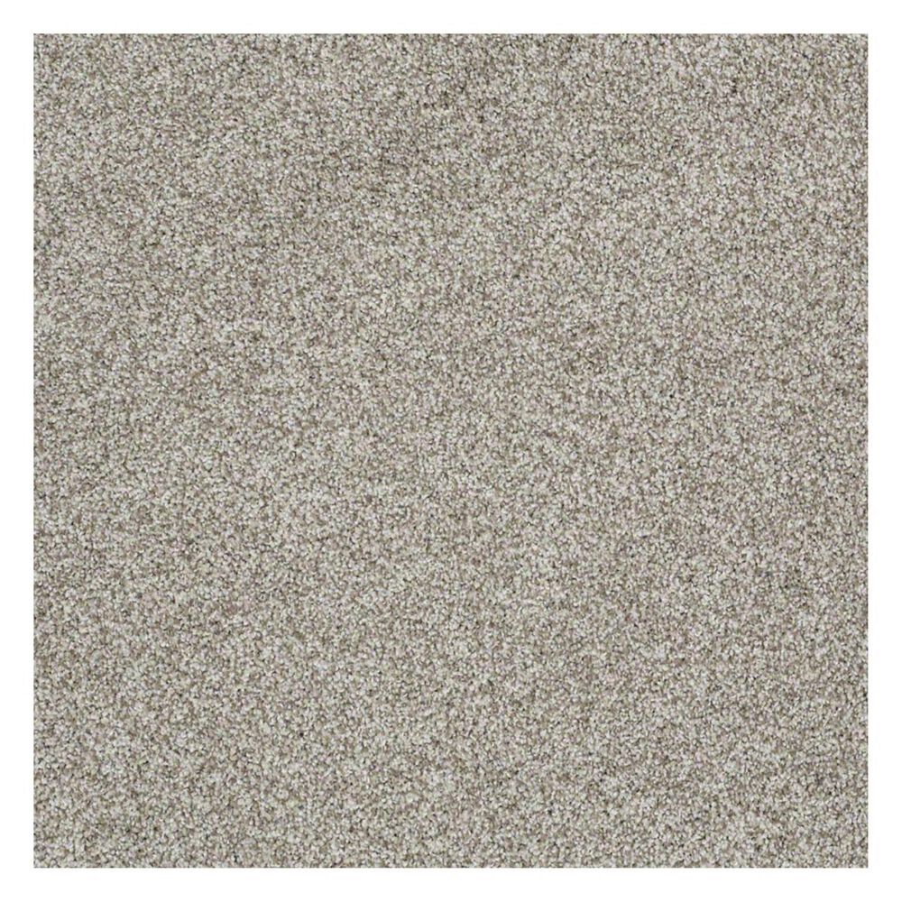 Shaw Detailed Tonal Carpet in Glaze