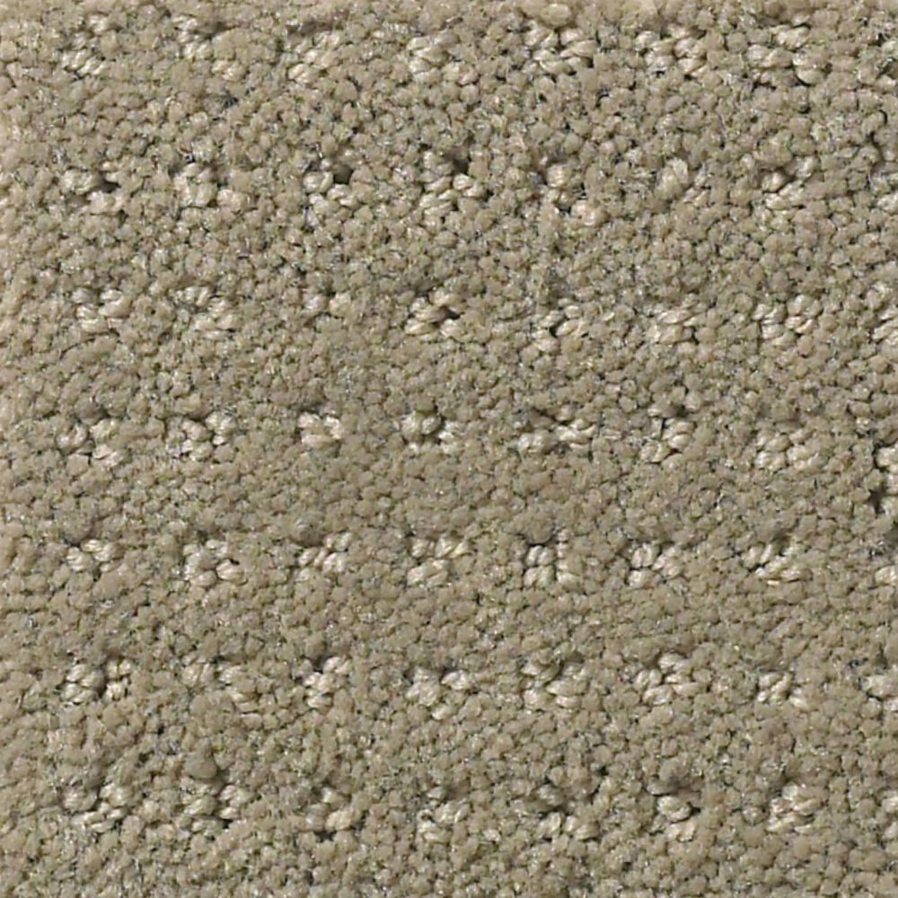 Shaw Detailed Elegance Patterned Carpet in Rocky Coast