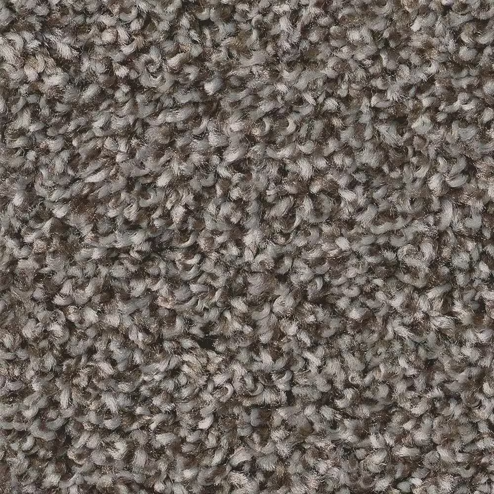 Shaw Shake It Up (T) Carpet in Hammerhead