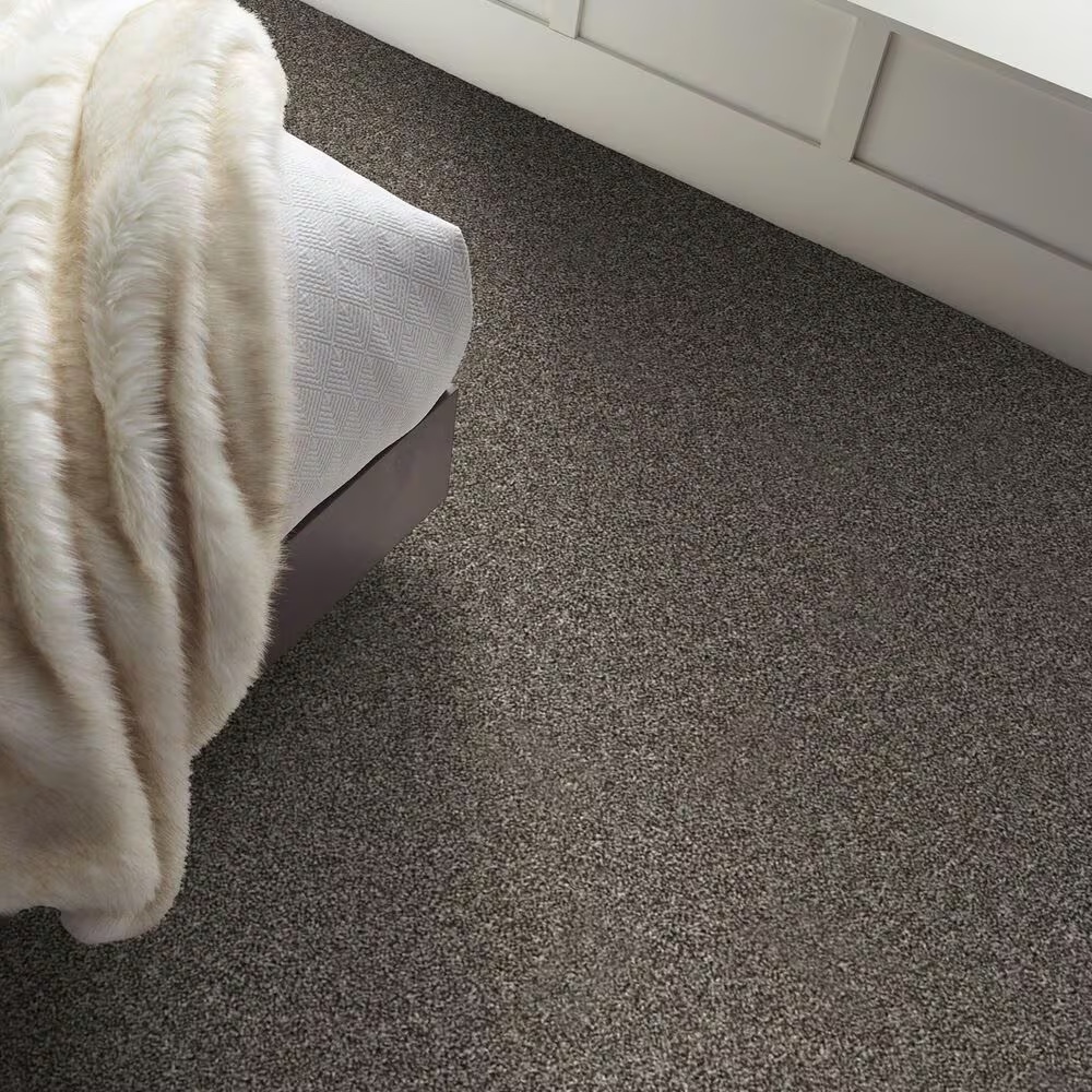 59268-shaw-shake-it-up-t-carpet-in-hammerhead-1.jpg