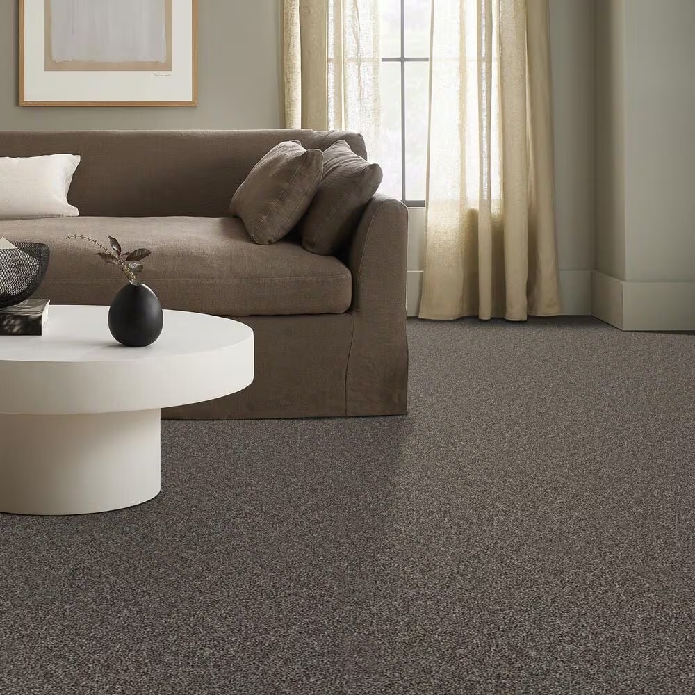 59268-shaw-shake-it-up-t-carpet-in-hammerhead-1.jpg
