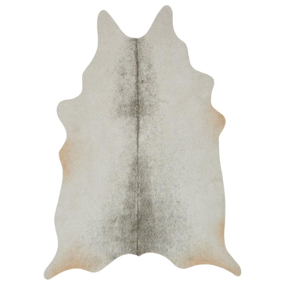 Loloi Grand Canyon 6'2" x 8' Silver and Grey Area Rug
