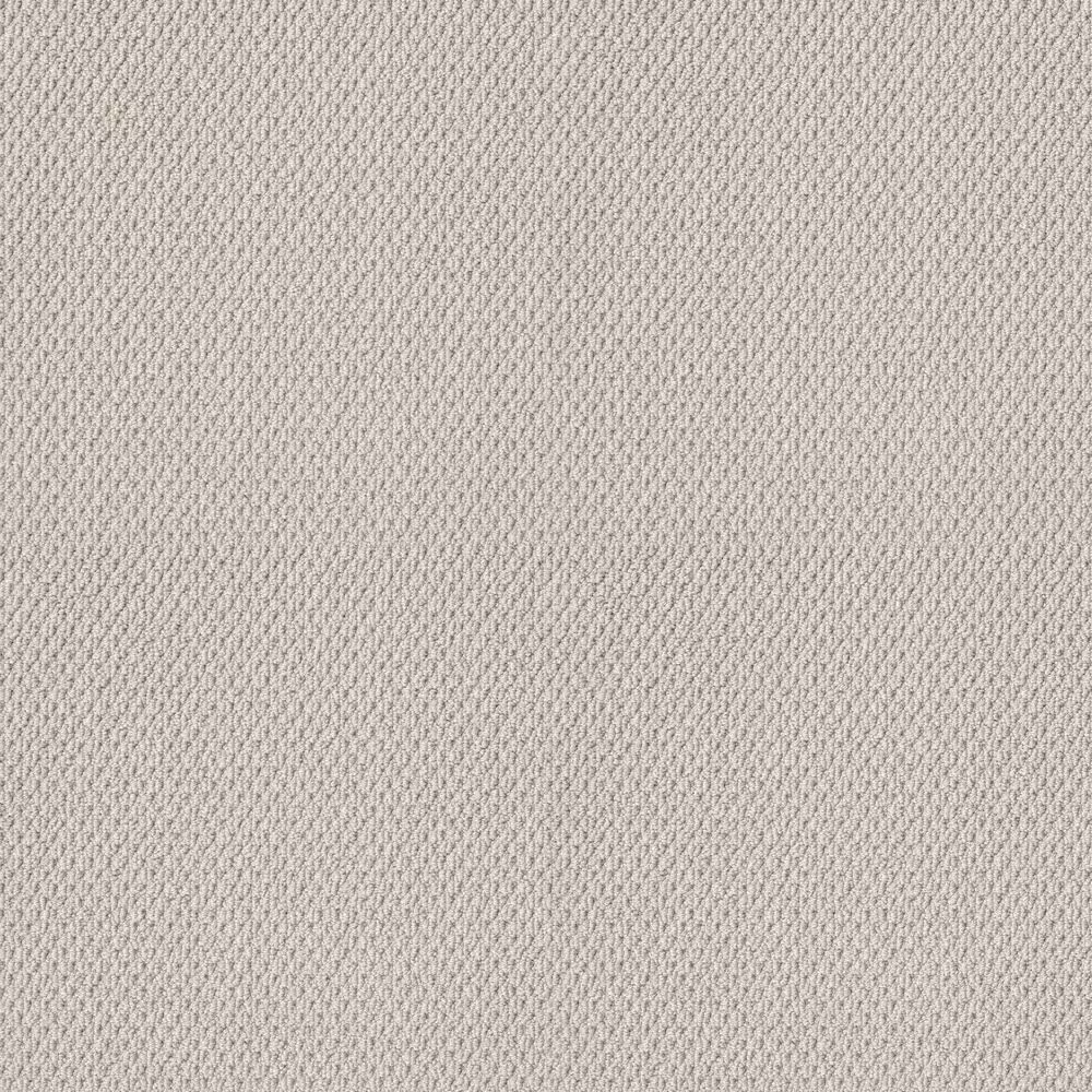 Shaw Naturalistic Carpet in Winters Dawn