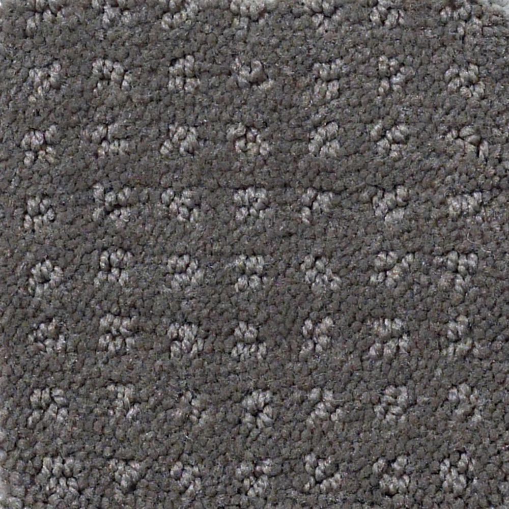 Shaw Detailed Elegance Patterned Carpet in Rustic Elegance