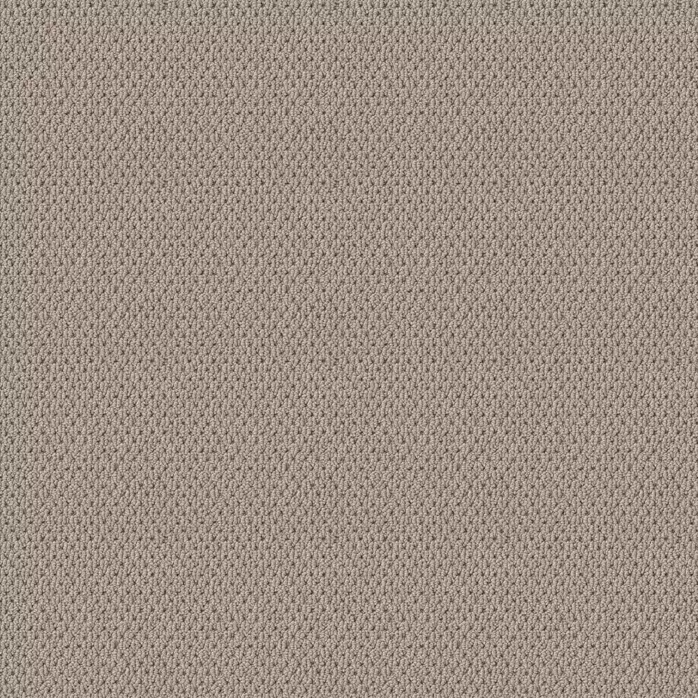 Shaw Faint Intent Carpet in Baltic Stone