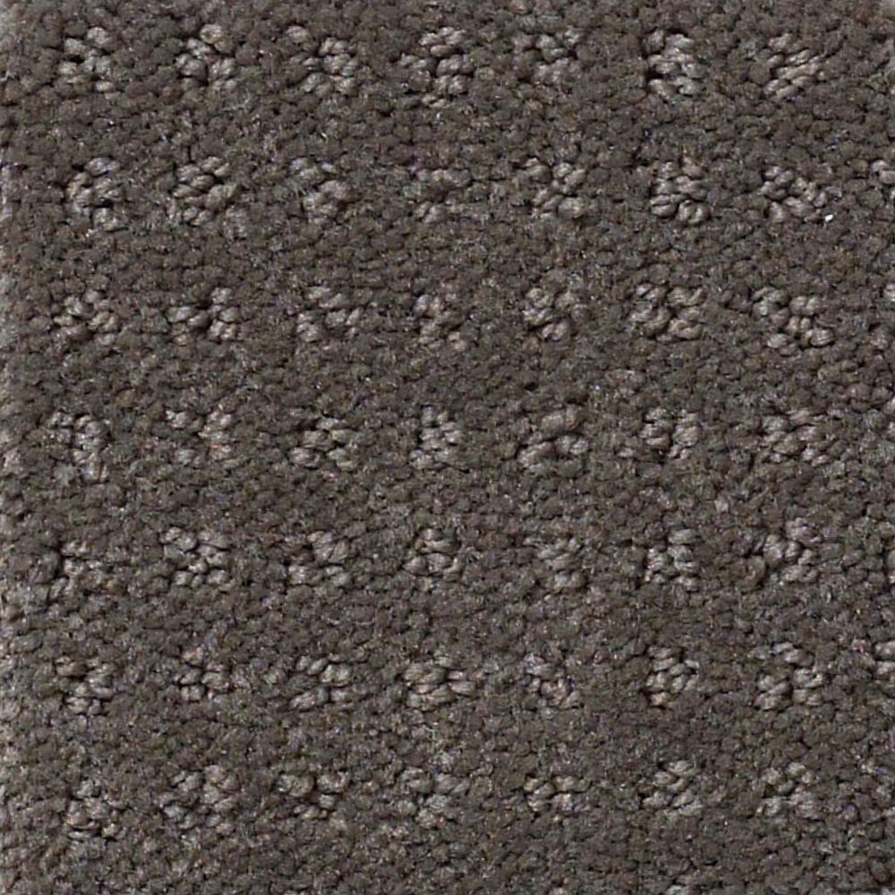 Shaw Detailed Elegance Patterned Carpet in Graphite
